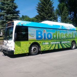 CAT Bus Exterior Ads